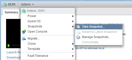 VMware Snapshots