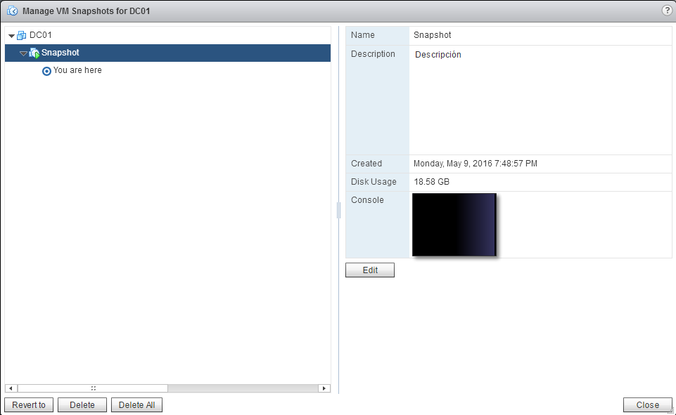 VMware Snapshots